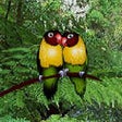 Icon of program: Jungle Falls Screensaver