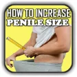 Icon of program: How to Increase Penis Siz…