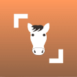 Icon of program: Horse Scanner