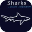 Icon of program: Sharks, by Reef Life