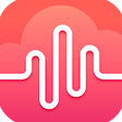 Icon of program: Voice Recorder 2019