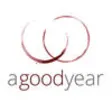 Icon of program: agoodyear wine