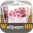Icon of program: WallPaper HD Free