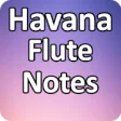 Icon of program: Havana Flute Notes
