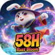 Icon of program: 58HRust Bloom