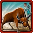 Icon of program: Bull Fighter
