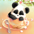 Icono de programa: Sleepy Panda Wallpaper