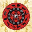 Icon of program: * Chinese Horoscope *