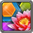 Icono de programa: HexLogic - Flowers