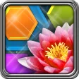 Icon of program: HexLogic - Flowers