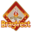 Icon of program: BragVest Pro