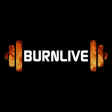 Icon of program: BurnLive User