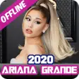 Icon of program: Ariana Grande Offline Mus…