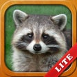Icon of program: Animals for Kids and Pres…