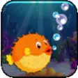 Icon of program: A Big Frenzied Fish Game …