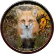 Icon of program: Fox Wallpaper