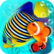 Icon of program: MyReef 3D Aquarium