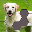 Icono de programa: Hexa Jigsaw Puzzle