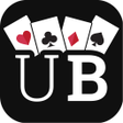 Icon of program: Ultimate Bridge