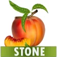 Icon of program: Stone Diet Renal Gall Bla…