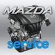Icon of program: Auto Service Info for MAZ…