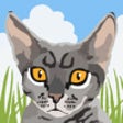 Icon of program: Cat Toy