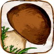 Icono de programa: The Mushroom Book