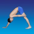 Icon of program: FLICKFLAPP - The Gymnasti…