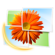 Icon of program: Windows Live Photo Galler…