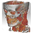 Icon of program: DroidRender - 3D DICOM vi…