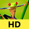 Icon of program: Themes & Wallpapers for i…