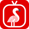 Icon of program: NetMirror - Movies Web Se…