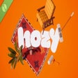 Icon of program: Hozy Demo
