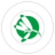 Icon of program: EMLab P&K