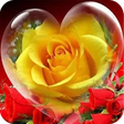 Icono de programa: Roses and Flowers