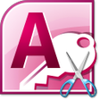 Icon of program: MS Access Split Fields So…