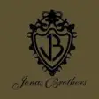 Icon of program: Jonas Brothers 2.0