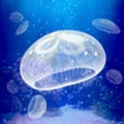Icono del programa: Jellyfish Aquarium Free