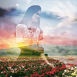 Icono de programa: Photo Blender : Photo Edi…