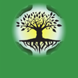 Icono de programa: Slim Family Tree Maker fo…