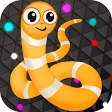 Icon of program: Snake IO Slither Worm