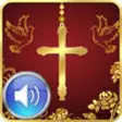 Icon of program: Rosary Deluxe Audio HD