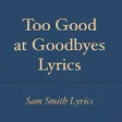 Icon of program: Too Good at Goodbyes Lyri…