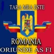 Icon of program: Romani in Diaspora