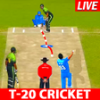 Play IPL 2020 ; Cricket premier league icon