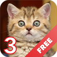 Icono de programa: Cats sounds - evil angry …