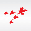 Icon of program: Leadership Canada