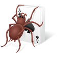 Free Spider Solitaire 2020 icon