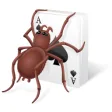 Icon of program: Free Spider Solitaire 202…