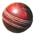 Icon of program: Blind Cricket
